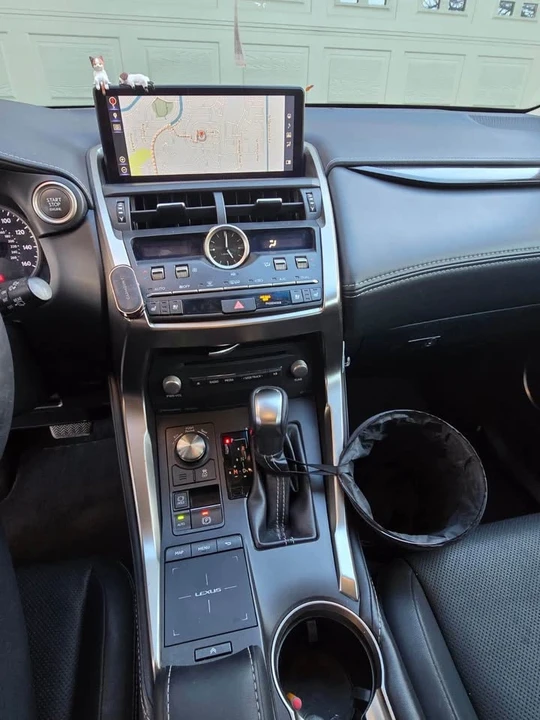 2019 Lexus NX 1st Gen - Image 10 of 15