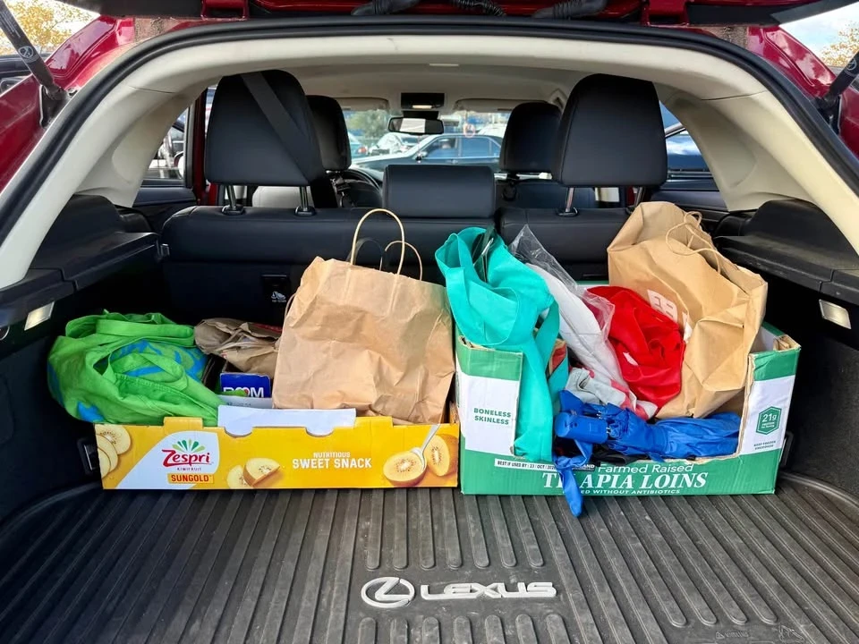 2019 Lexus NX 1st Gen - Image 14 of 15