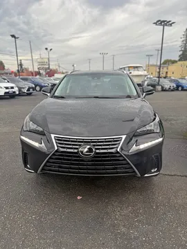 2019 Lexus NX 300 Sport Utility