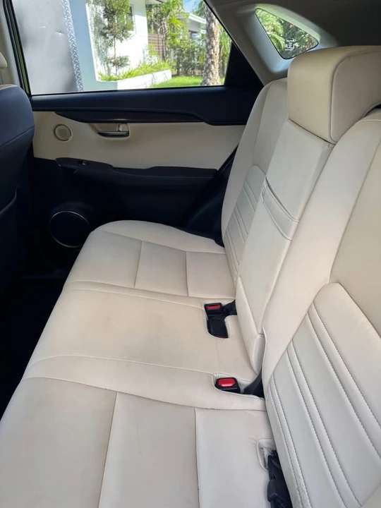 2019 Lexus NX 1st Gen - Image 6 of 13