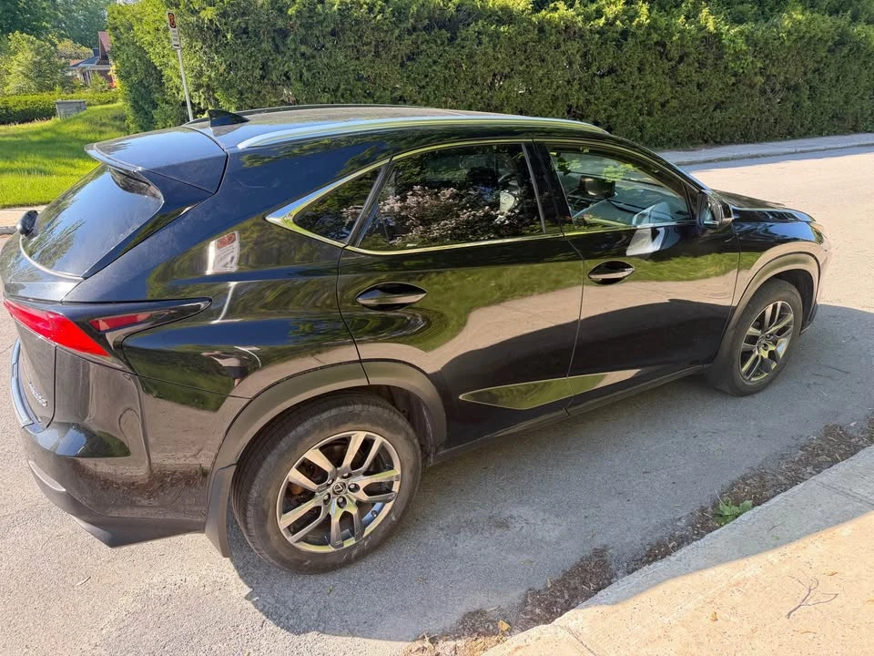 2019 Lexus NX 1st Gen - Image 2 of 10