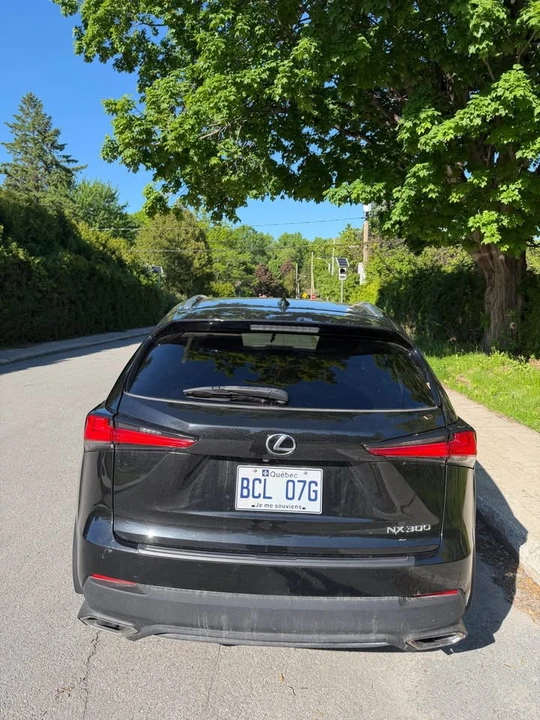 2019 Lexus NX 1st Gen - Image 4 of 10