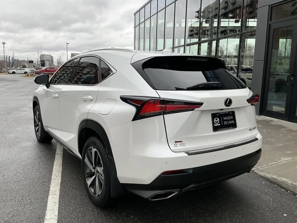 2019 Lexus NX 1st Gen - Image 3 of 20