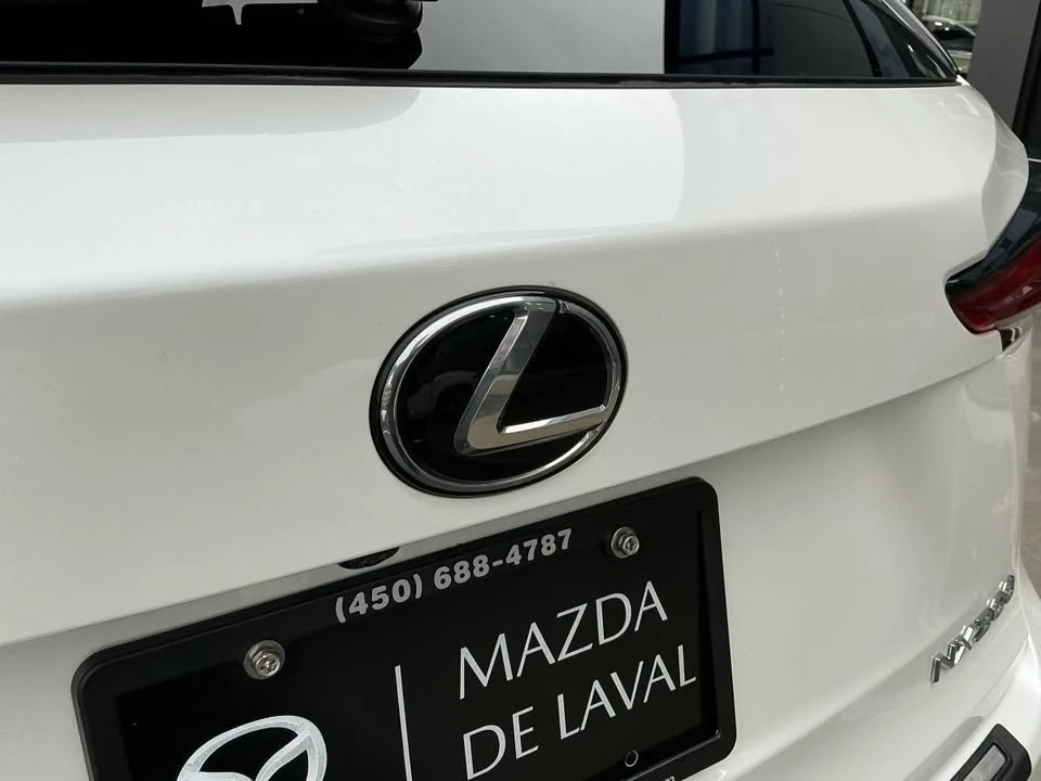 2019 Lexus NX 1st Gen - Image 9 of 20