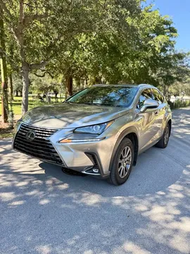 2019 Lexus NX300 Sport