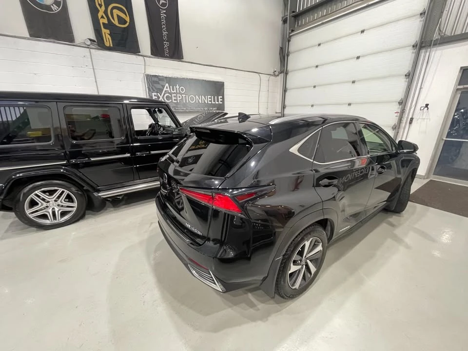 2019 Lexus NX 1st Gen - Image 8 of 20