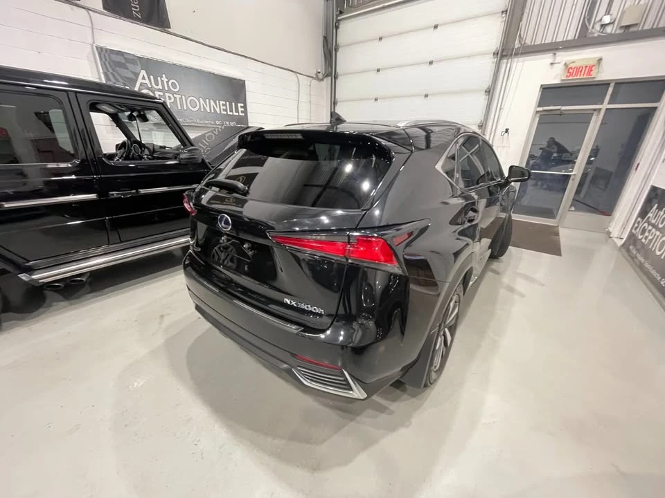 2019 Lexus NX 1st Gen - Image 7 of 20