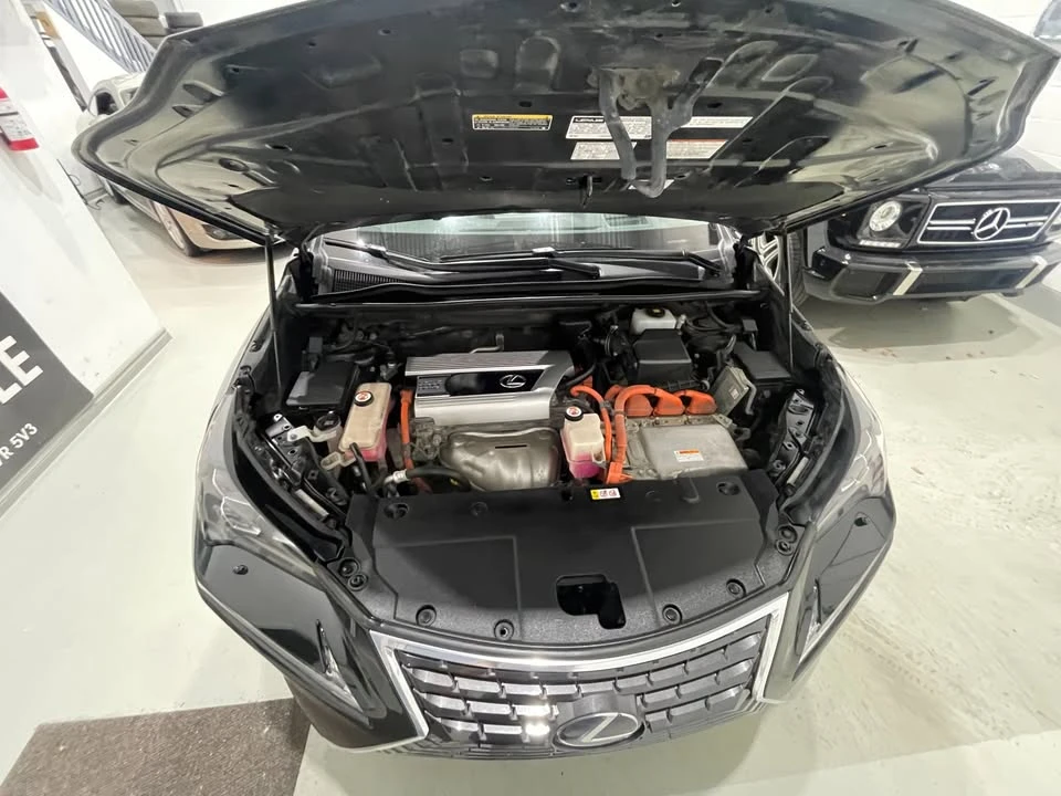 2019 Lexus NX 1st Gen - Image 16 of 20