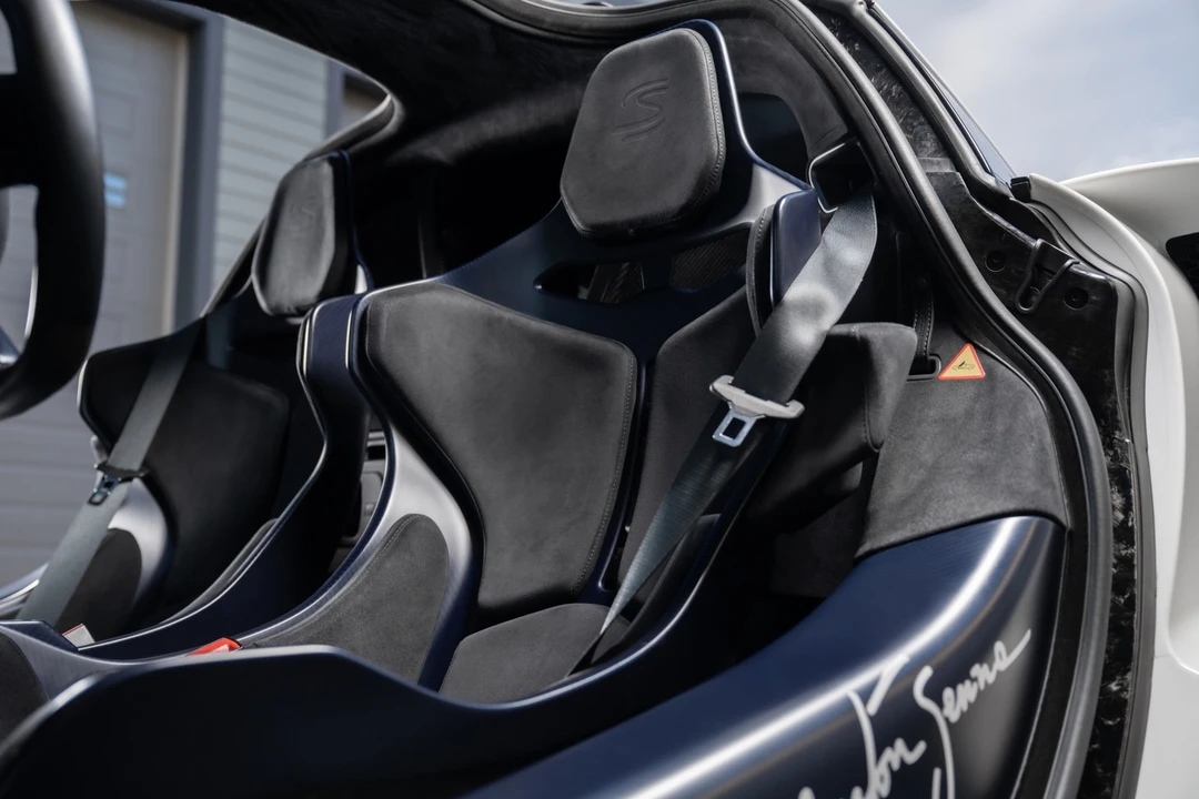 2019 McLaren Senna - Image 29 of 31
