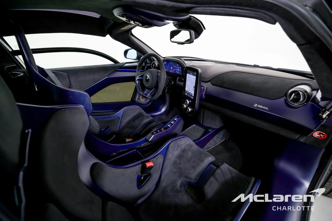 2019 McLaren Senna - Image 18 of 21