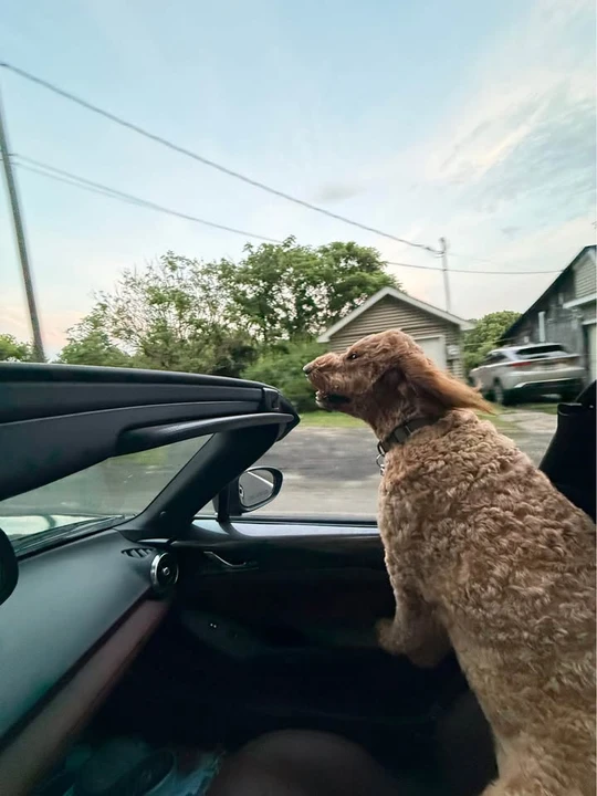 2019 Mazda ND MX-5 Miata - Image 6 of 7