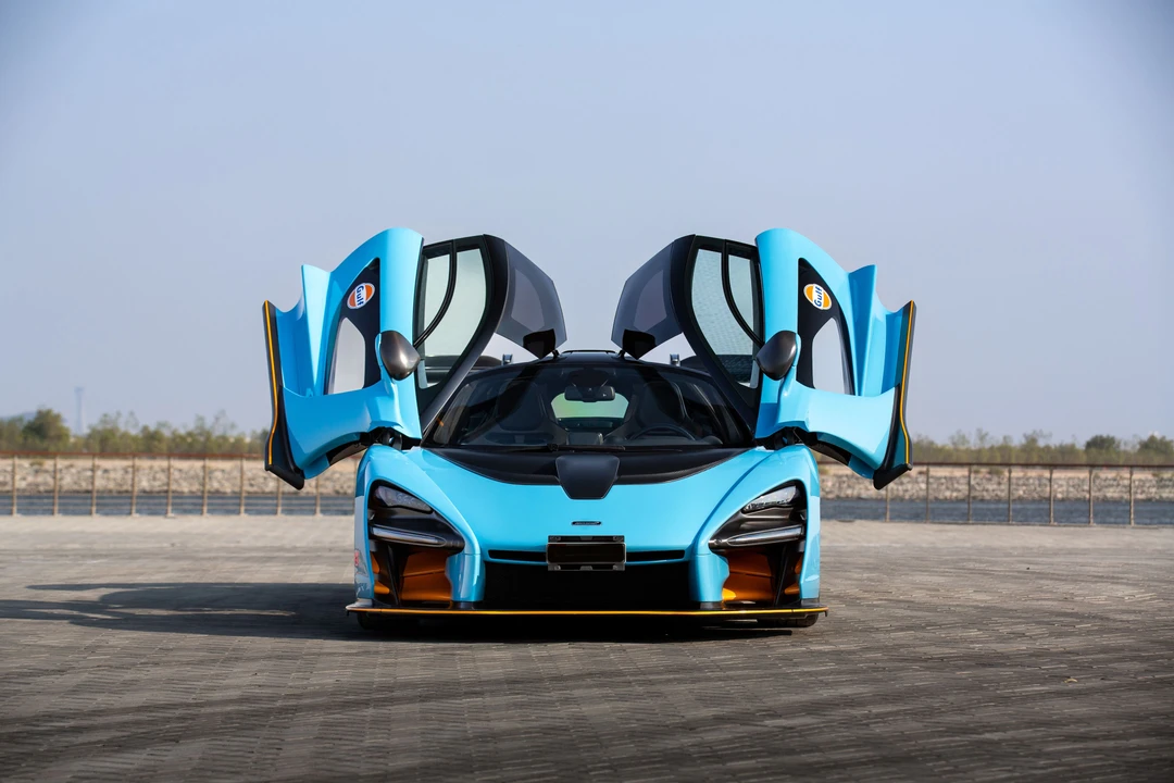 2019 McLaren Senna - Image 15 of 31