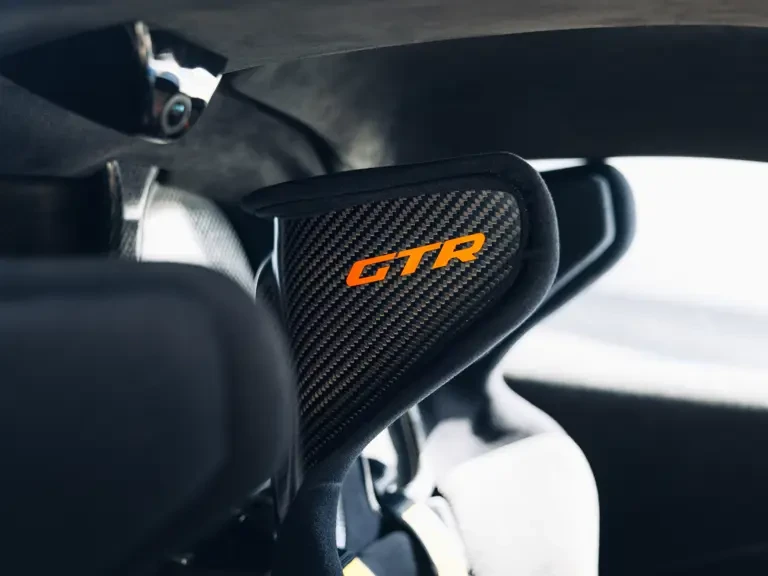 2019 McLaren Senna - Image 21 of 31