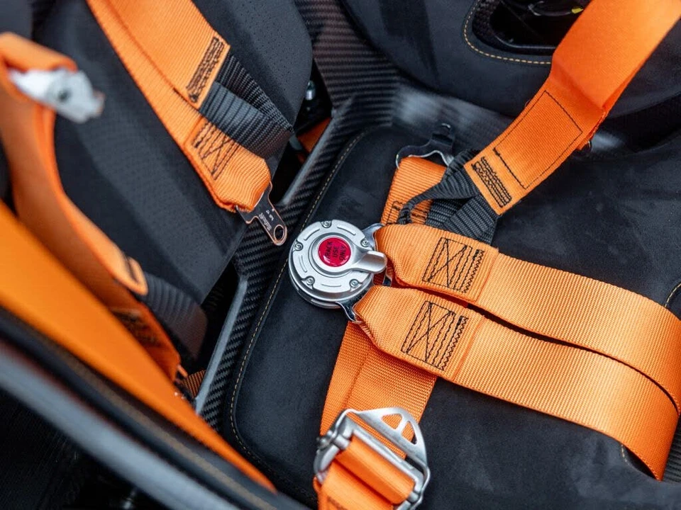 2019 McLaren Senna - Image 20 of 31