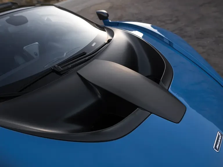 2019 McLaren Senna - Image 19 of 31