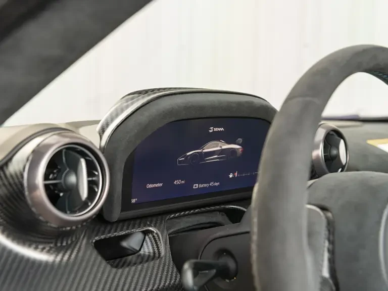 2019 McLaren Senna - Image 13 of 31