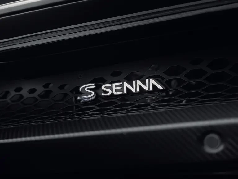 2019 McLaren Senna - Image 8 of 31