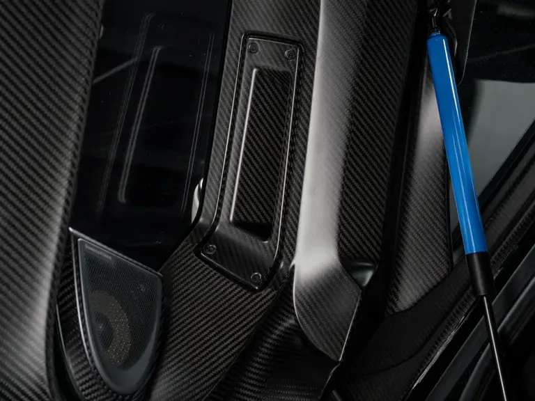 2019 McLaren Senna - Image 19 of 31