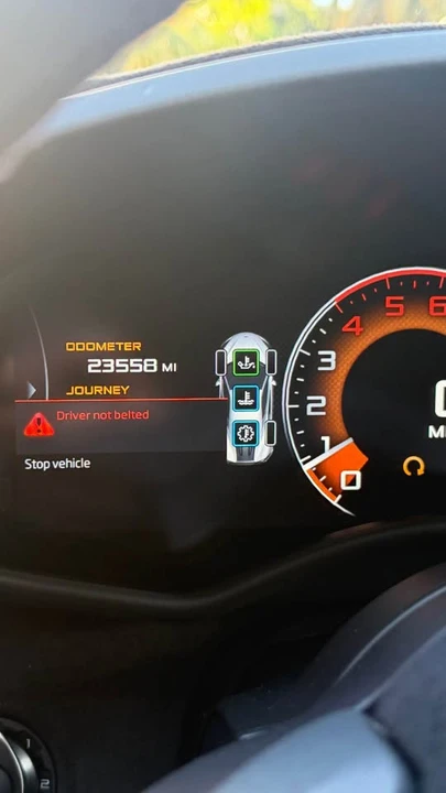 2019 McLaren 600LT - Image 15 of 15