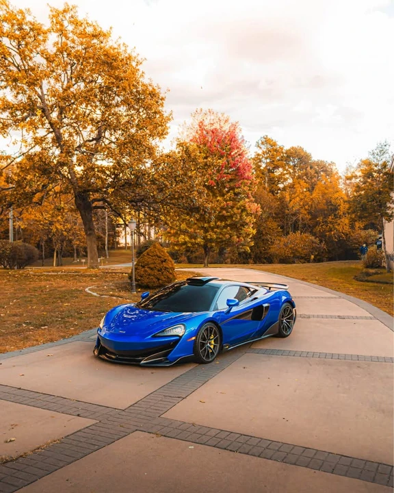 2019 McLaren 600LT - Image 16 of 19