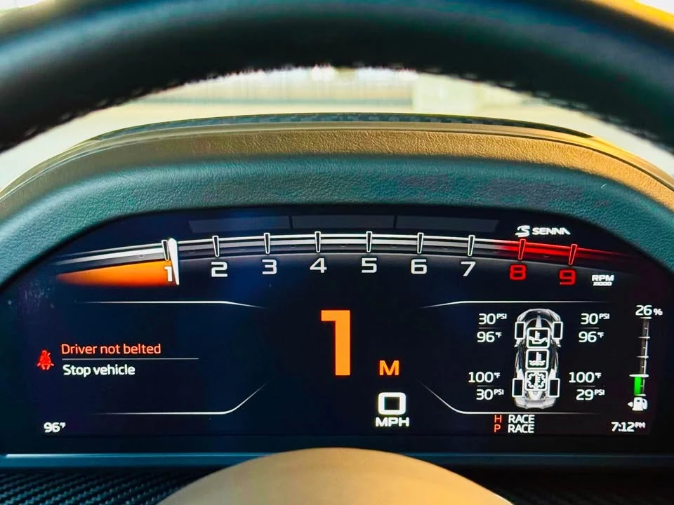 2019 McLaren Senna - Image 15 of 20