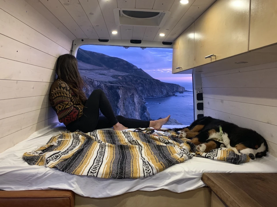 2019 Mercedes-Benz VS30 Sprinter - Image 9 of 14