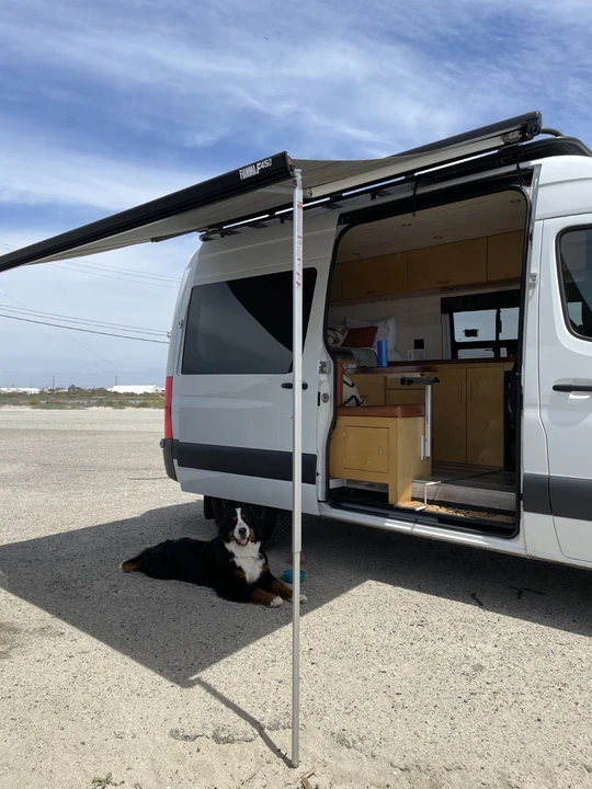 2019 Mercedes-Benz VS30 Sprinter - Image 8 of 14