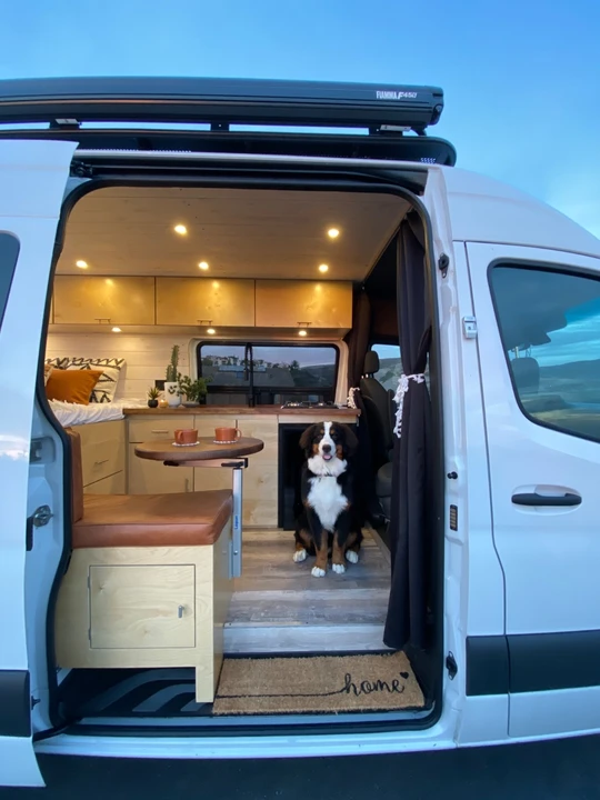 2019 Mercedes-Benz VS30 Sprinter - Image 5 of 14