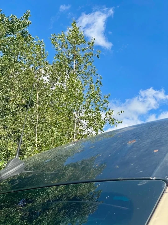 2019 Mercedes-Benz VS30 Sprinter - Image 16 of 17