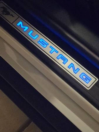 2019 Ford S550 Mustang - Image 17 of 18