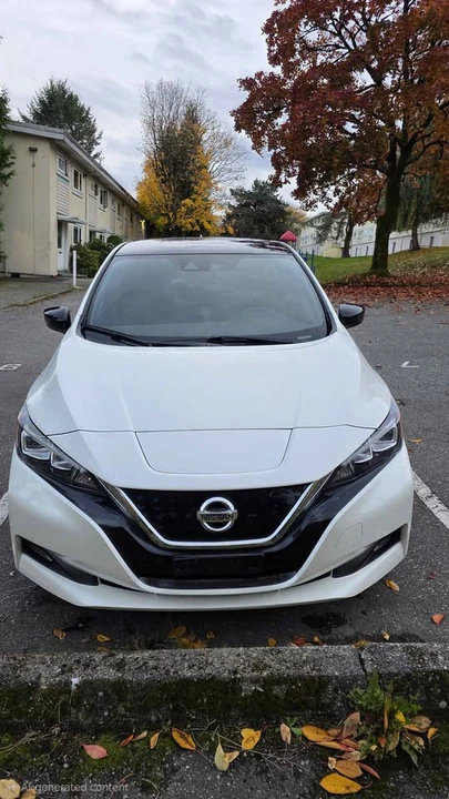 2019 Nissan Leaf - Image 3 of 16