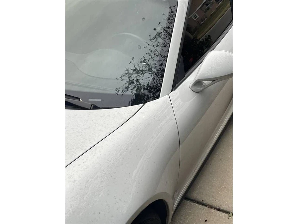 2019 Porsche 991 Carrera - Image 22 of 23
