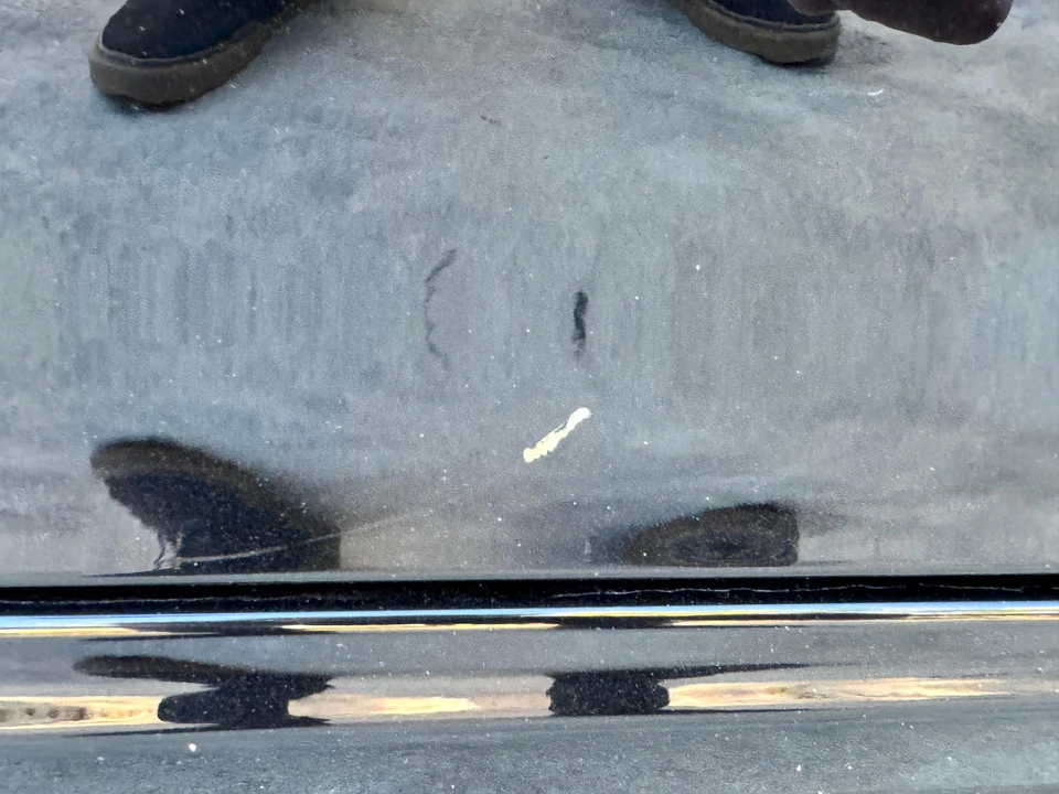 2019 Porsche 991 Carrera T - Image 22 of 31