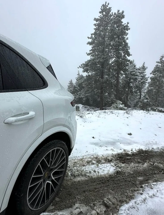 2019 Porsche 9Y0/9Y3 Cayenne - Image 7 of 7