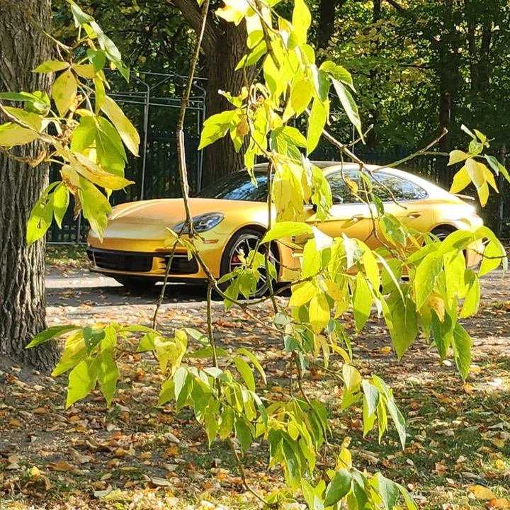 2019 Porsche 971 Panamera - Image 12 of 20
