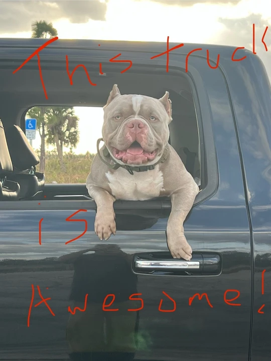 2019 Ram 1500 2nd Gen - Image 3 of 7