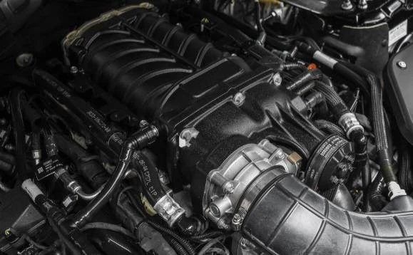 2019 Shelby GT350 - Image 8 of 8