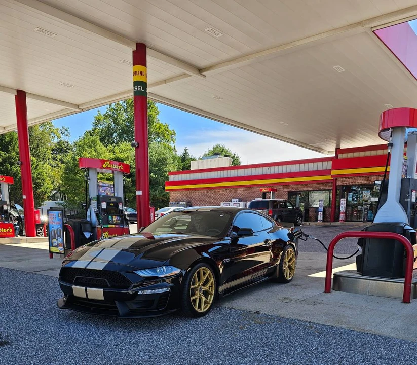 2019 Shelby GT350 - Image 2 of 8