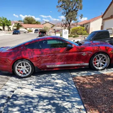 2019 Shelby Super Snake