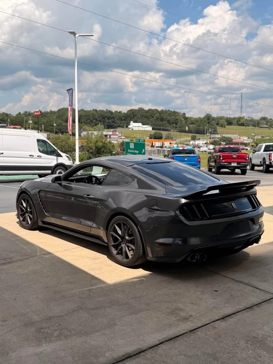 2019 Shelby GT350 - Image 8 of 13