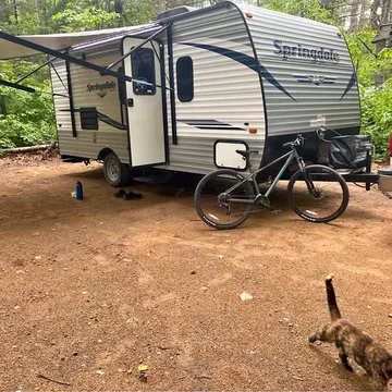 2019 Keystone Springdale Mini