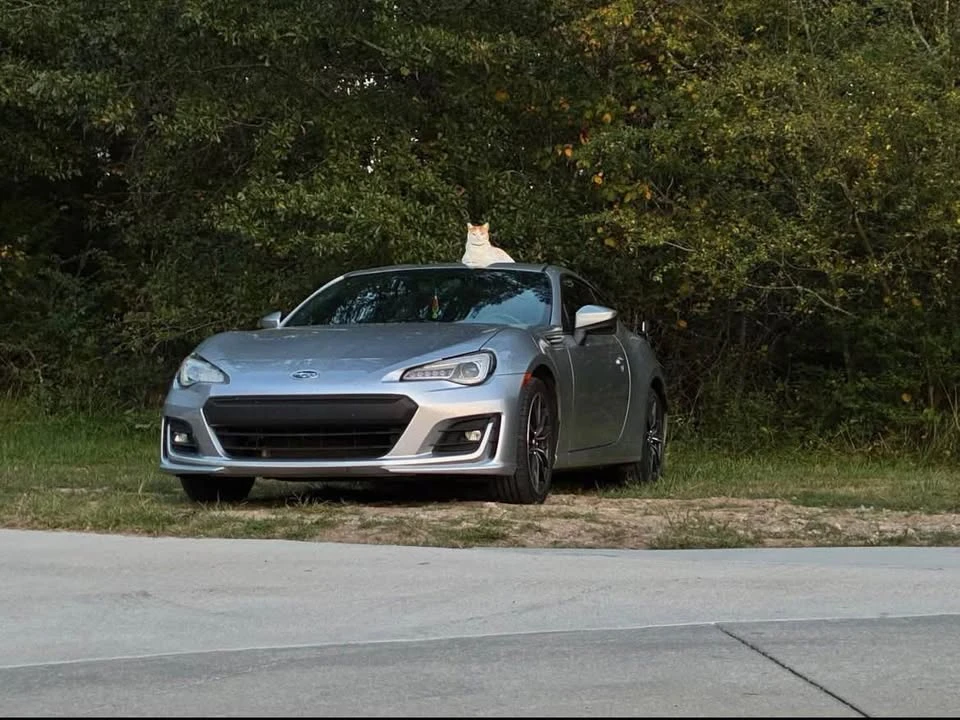 2019 Subaru BRZ 1st Gen - Image 3 of 3