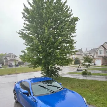 2019 Subaru BRZ