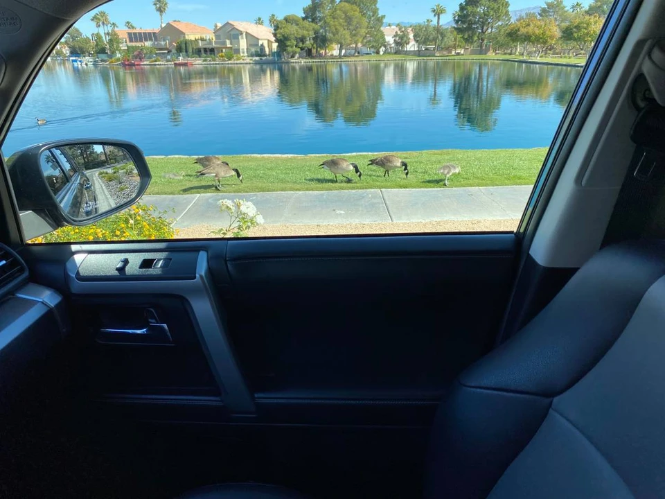 2019 Toyota 4Runner 5th Gen - Image 20 of 21