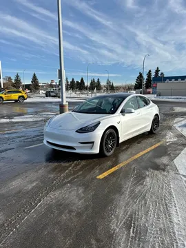 2019 Tesla Model 3 Standard Plus RWD