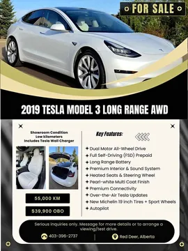 2019 Tesla Model 3 Long Range AWD