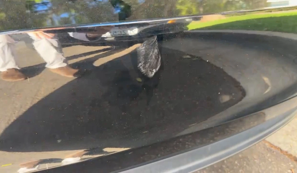 2019 Tesla Model 3 - Image 7 of 10