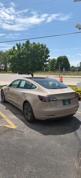 2019 Tesla Model 3 - Image 3 of 14