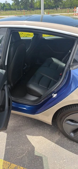 2019 Tesla Model 3 - Image 11 of 14