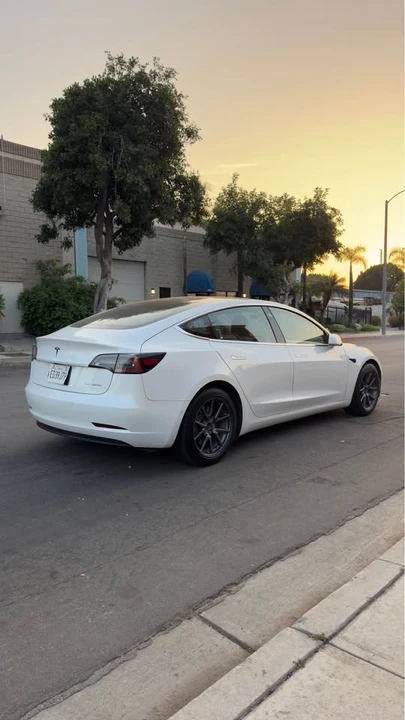 2019 Tesla Model 3 - Image 3 of 10